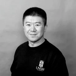 Professor Yansong Shen