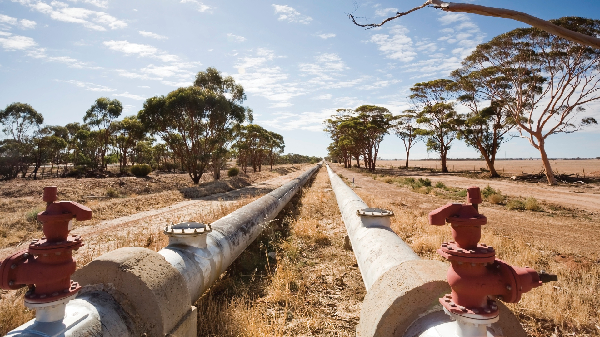 16 9 ACT Water Crisis 250527
