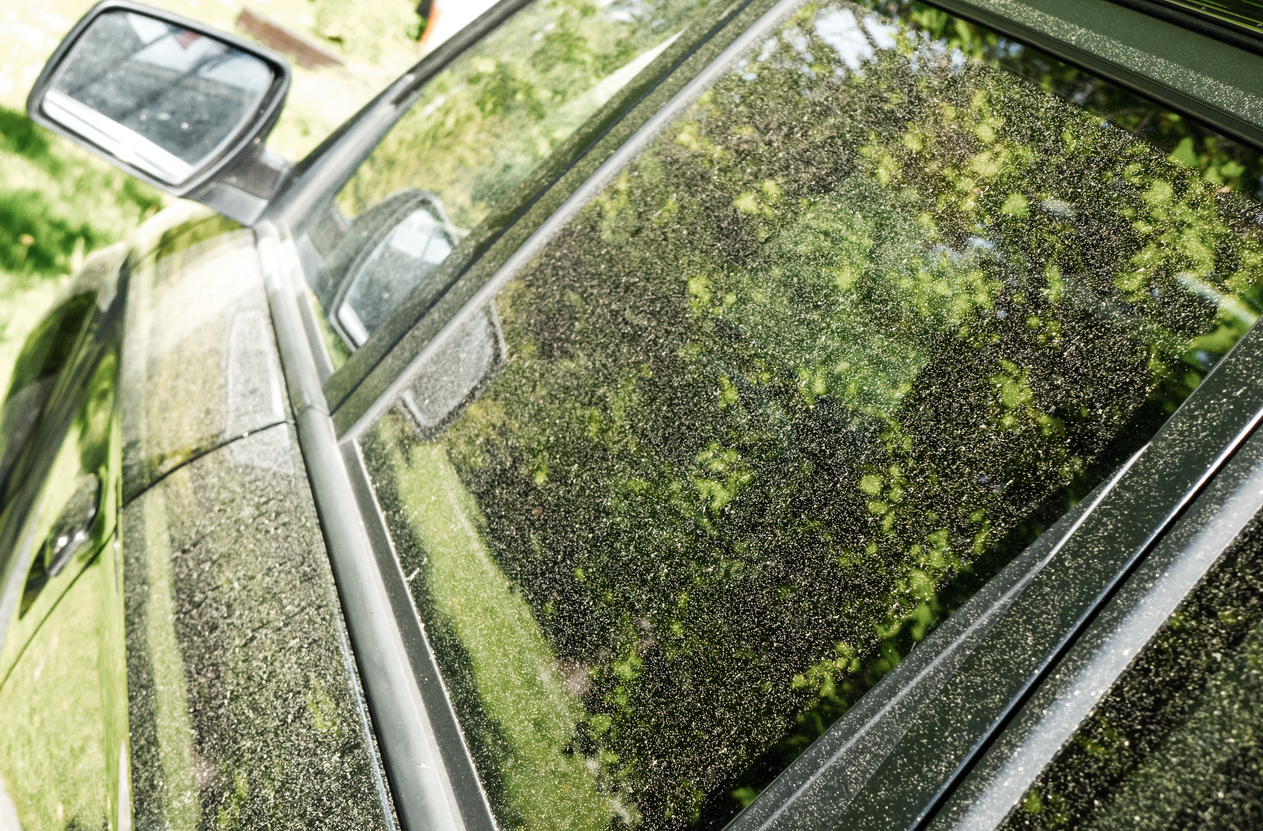 Thunderstorm Pollen