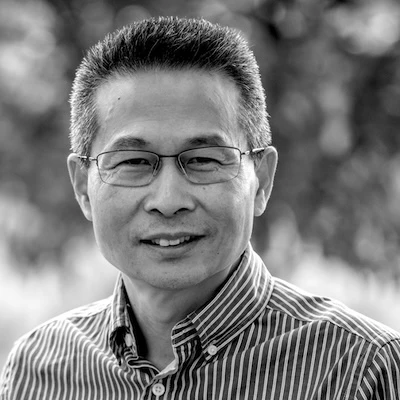 Professor Wei Zhang